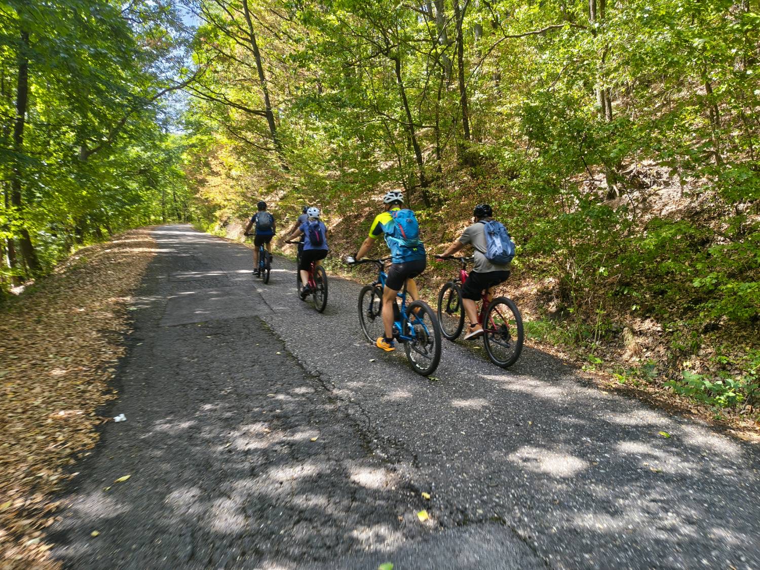 Four colleagues cycling uphill on a forest road during the e-mountain biking day