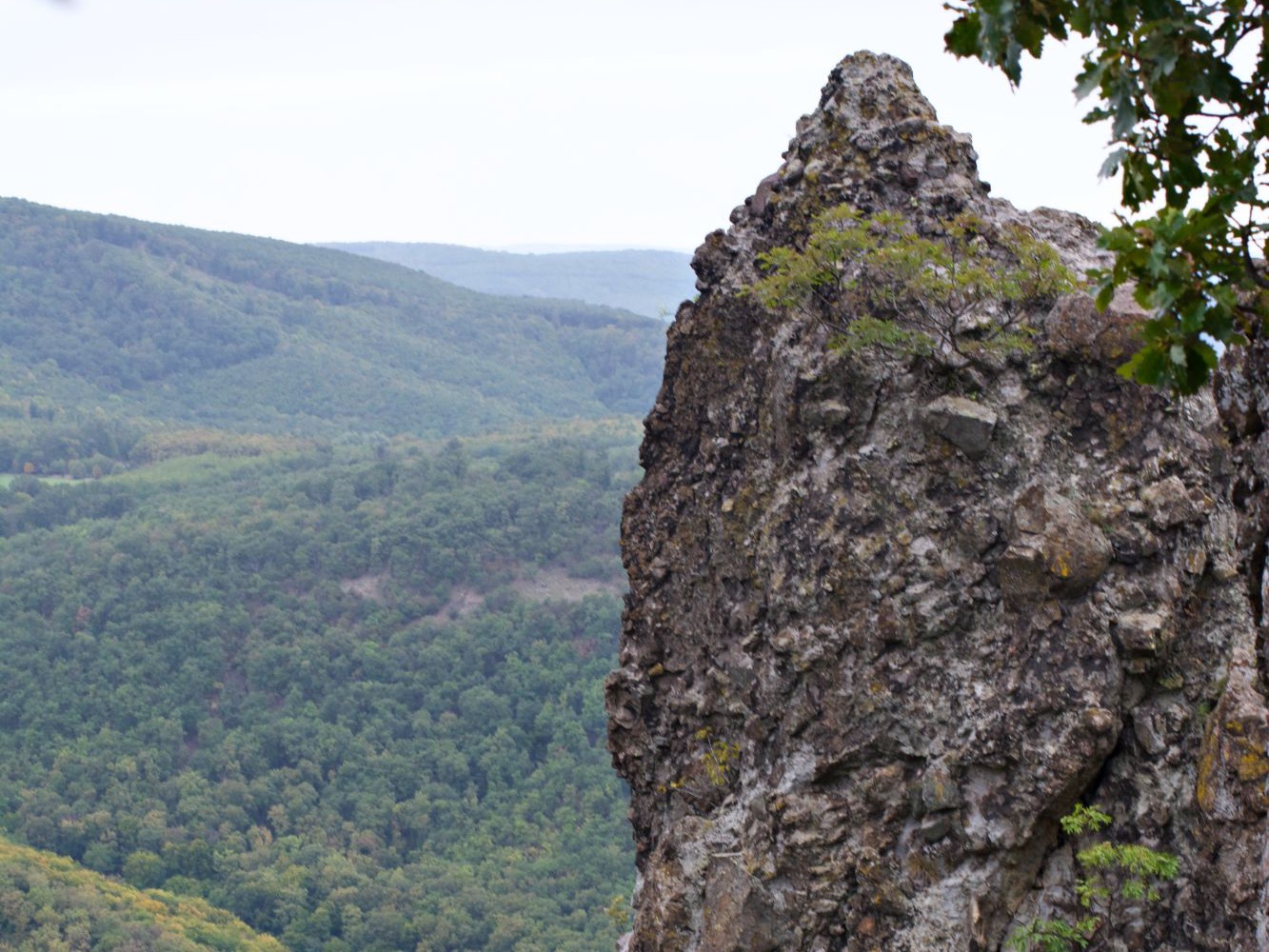 A rocky outcrop above a forested valley, seen on a team hike